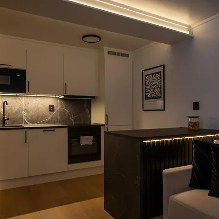 Apartment Elegant Midt I